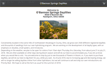 Tablet Screenshot of obannonspringsdaylilies.com